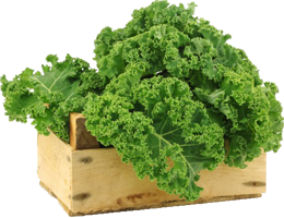 Kale
