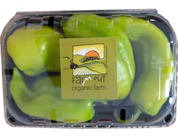  VEGETABLE STANDARDIZATION