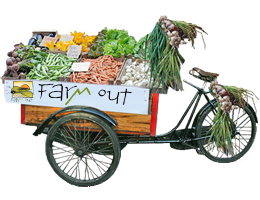 VEG BOX